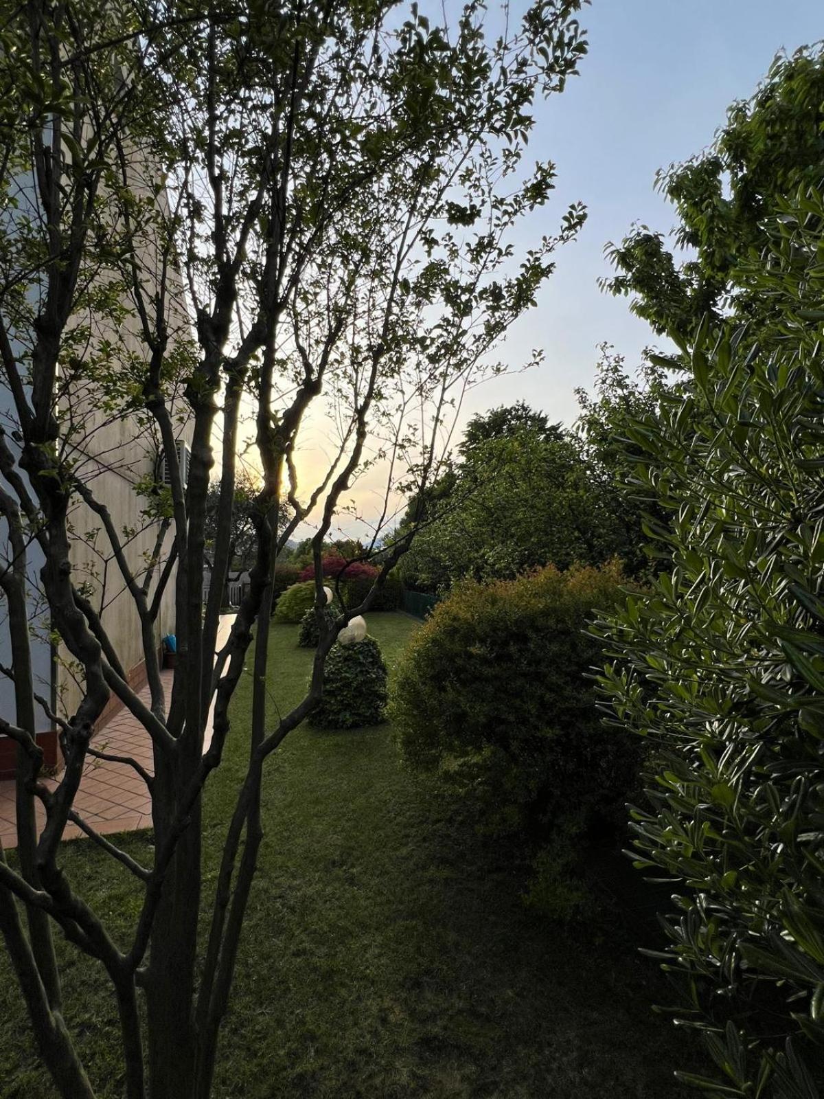 Villa Luisa Gorle Екстериор снимка